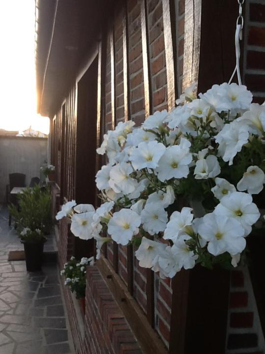 Les Chambres De Paule Thieulloy-l'Abbaye Dış mekan fotoğraf